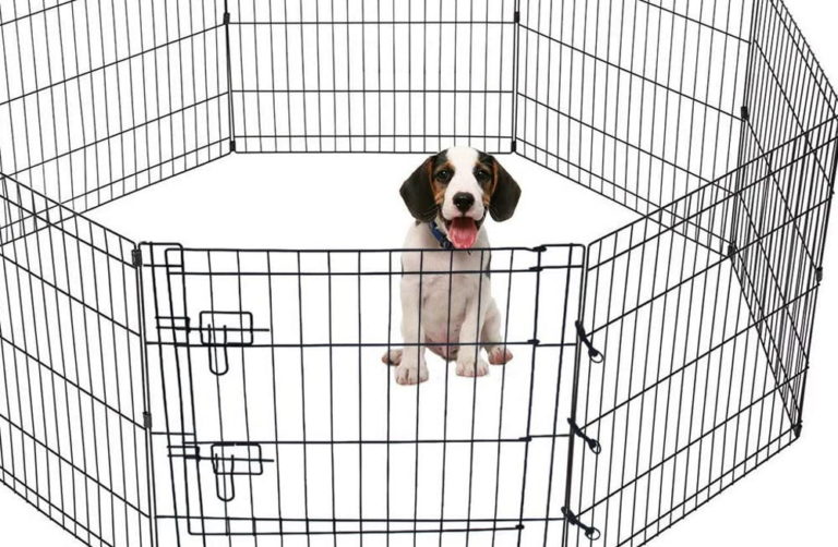 Wire fence for dogs, how to choose and install?