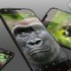 corning gorilla glass 5 vs schott xensation up